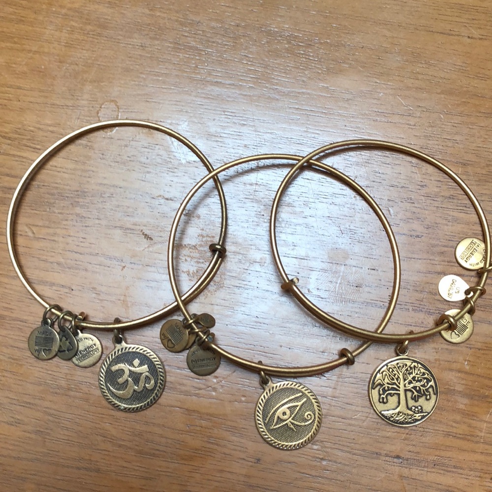 Alex and Ani Charm Bangles
